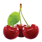 Oferta pomi fructiferi